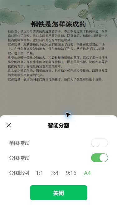 智能分割设置中分图模式已开启,A4 比例以绿色标明选中